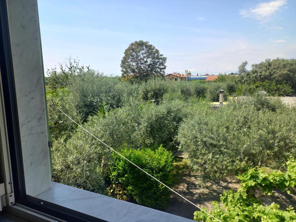 La Madonnina Bed & Breakfast Querceta Exterior photo